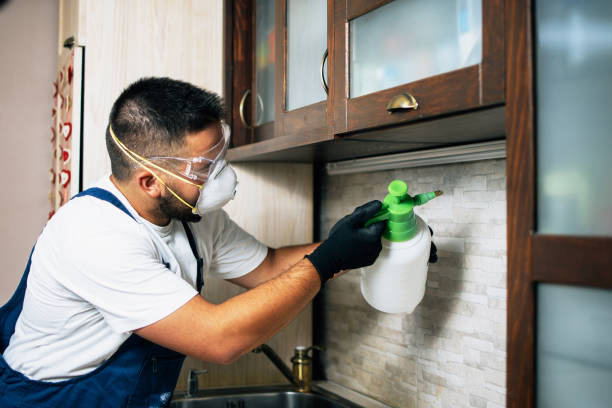 Best Pest Inspection Near Me  in Thomasville, GA