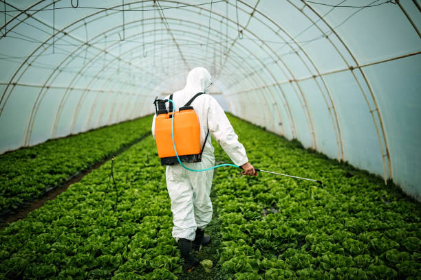 Best Emergency Pest Control  in Thomasville, GA